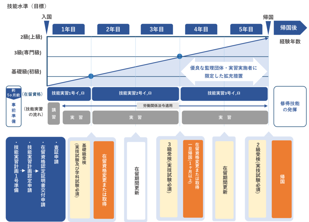 受入から帰国までの流れ